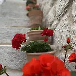 House Little Flower Trogir